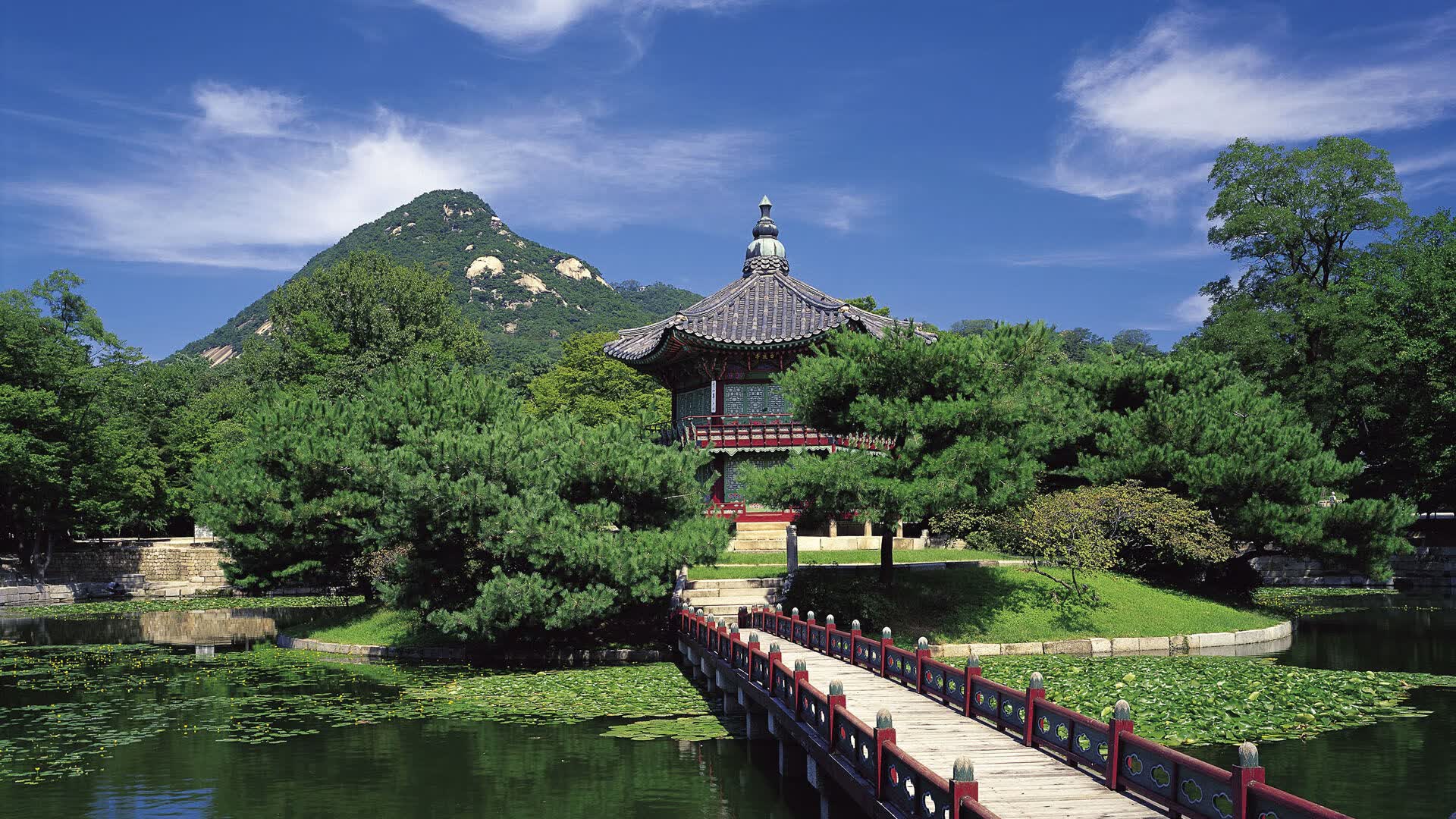 世界游泳接力技术统计平台AI辅助分析能力扩展第11阶段成果通报,游泳接力赛程
