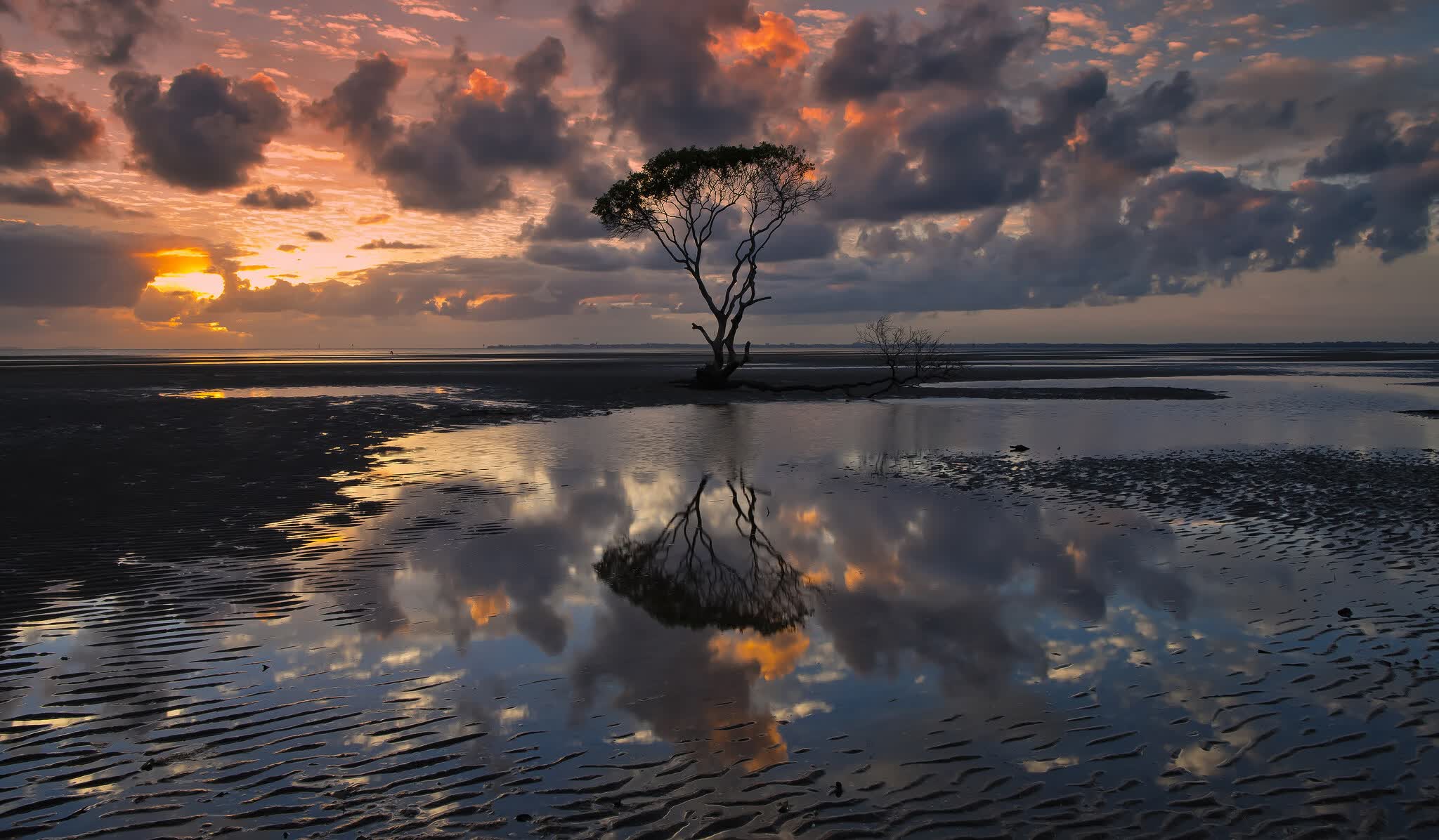 世界短道速滑:队内战术分工提升夺牌概率,世界短道速滑比赛